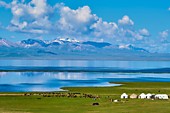 Киргизия на джипах Трансформационное путешествие  "К себе настоящему" 15- 27 Июля 23г